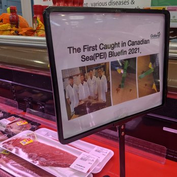 Galleria Supermarket - International Grocery Near Me - Toronto, Ontario