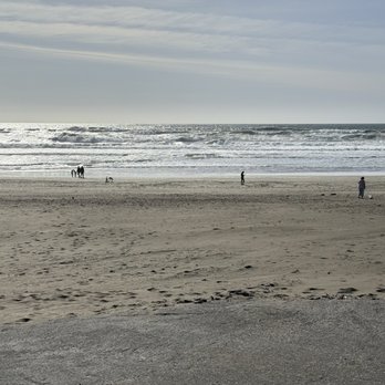 Sunset Dunes - Photo 8: Ocean Beach - Parks Near Me - San Francisco, California Sunset Dunes - Photo 8: Ocean Beach - Parks Near Me - San Francisco, California
