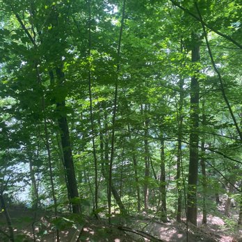 Palisades Interstate Park Commission - Hiking Near Me - Alpine, New Jersey