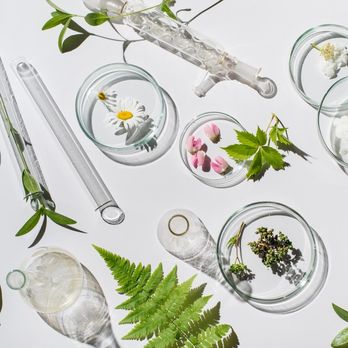 Citrin Wellness - Naturopathic/Holistic Near Me - Beverly Hills, California