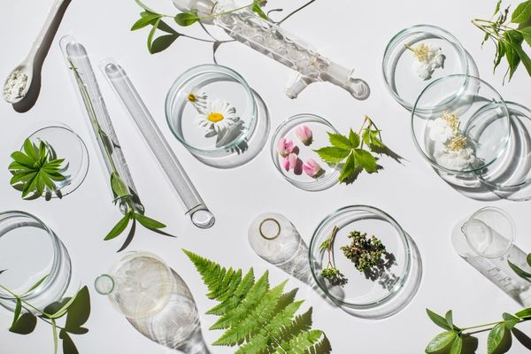 Citrin Wellness by null