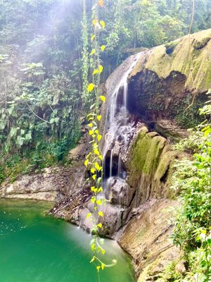 Cascada Gozalandia by null