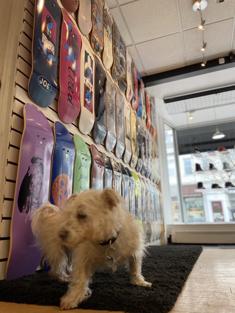 MAVEN Updated July 2024 12 Photos 128 Church St, Burlington