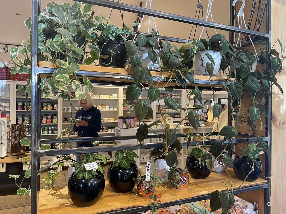 ROSE DRUMMOND Updated September 2024 210 Boulevard Lemire Ouest