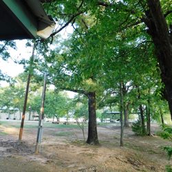 Shiloh Lutheran Retreat Center - View towards Clubhouse