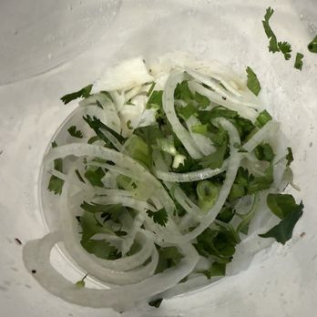 Noble Phở - Good amount of sliced onions, cilantro, green onions. Much appreciated - Vietnamese Near Me - Round Rock, Texas Noble Phở - Good amount of sliced onions, cilantro, green onions. Much appreciated - Vietnamese Near Me - Round Rock, Texas