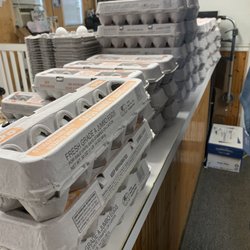 Green's Egg Farm - Nothing like fresh eggs