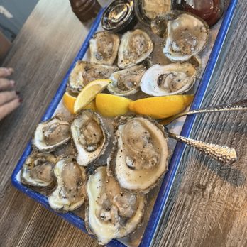 Atlantic Beer & Oyster - Virginia and Gulf oysters - Seafood Near Me - Winter Park, Florida Atlantic Beer & Oyster - Virginia and Gulf oysters - Seafood Near Me - Winter Park, Florida