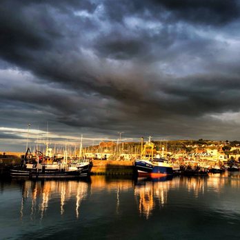 Octopussy's Seafood Tapas - Tapas Bars Near Me - Howth, D Octopussy's Seafood Tapas - Tapas Bars Near Me - Howth, D