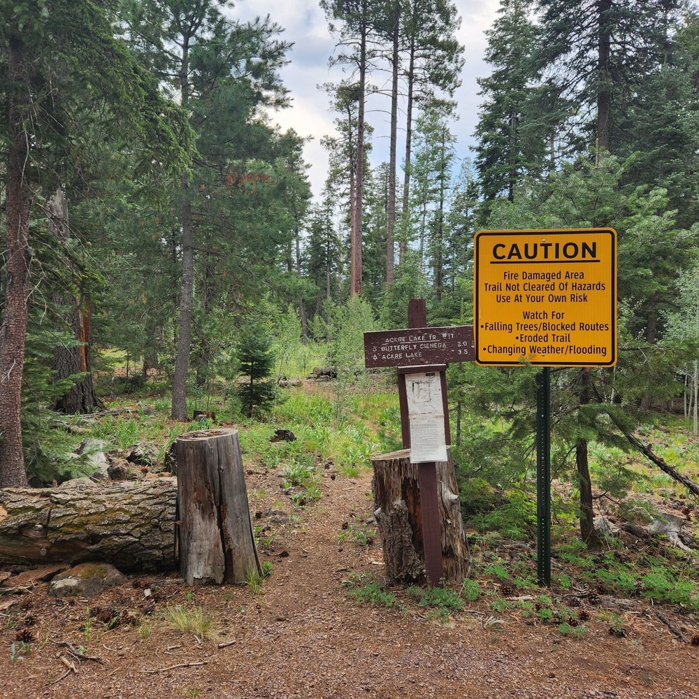 Aker Lake Trail - Clearly marked trailhead - Hiking Near Me