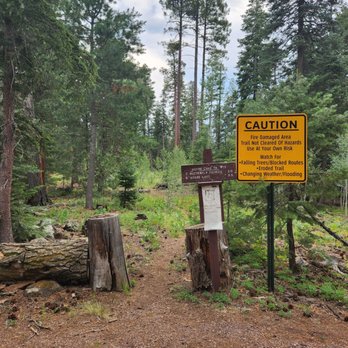Aker Lake Trail - Clearly marked trailhead - Hiking Near Me Aker Lake Trail - Clearly marked trailhead - Hiking Near Me