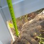 Photo of Anchor Fence