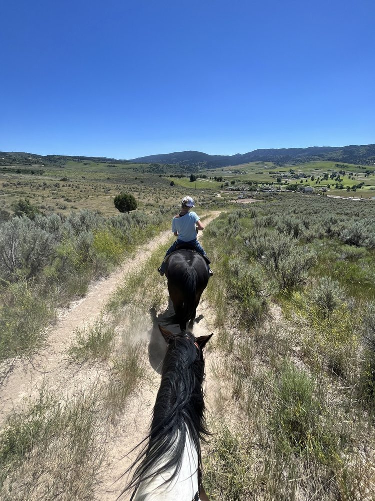 Lava Horseback Adventures Logo