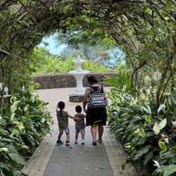 Doutor Coffee Mauka Meadows - Part of the expansive garden with many fruit trees
