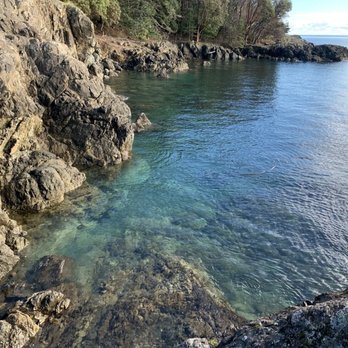 Lime Kiln Point State Park - Clear water - Parks Near Me - Friday Harbor, Washington