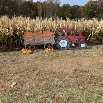 Narramore Farms Pumpkin Patch & Corn Maze - Fun places to take a photo - Pumpkin Patches Near Me - Kingston, Tennessee Narramore Farms Pumpkin Patch & Corn Maze - Fun places to take a photo - Pumpkin Patches Near Me - Kingston, Tennessee