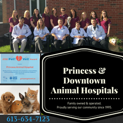Downtown Animal Hospital