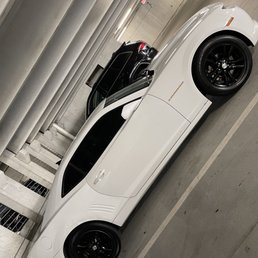 20% Tint 20% Tint