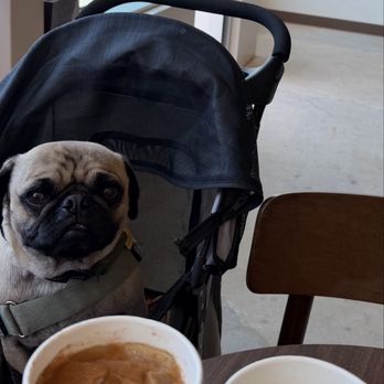 Louis Coffee Bar - Coffee & Tea Near Me - Los Angeles, California Louis Coffee Bar - Coffee & Tea Near Me - Los Angeles, California