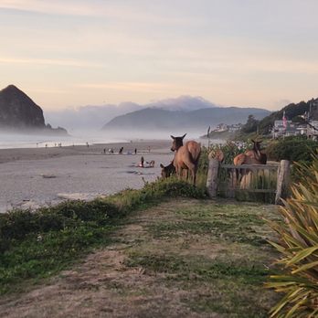 Inn At Cannon Beach - Elk at the beach access - Hotels Near Me - Cannon Beach, Oregon Inn At Cannon Beach - Elk at the beach access - Hotels Near Me - Cannon Beach, Oregon