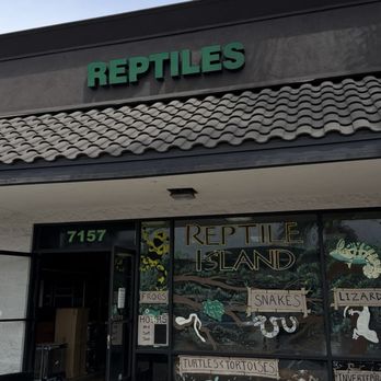 Reptile Island - Pet Stores Near Me - Stanton, California Reptile Island - Pet Stores Near Me - Stanton, California