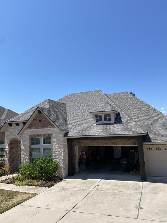 Slide of Roof Monkey