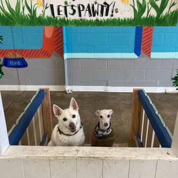 Unleashed Hounds and Hops - Bars Near Me - Minneapolis, Minnesota