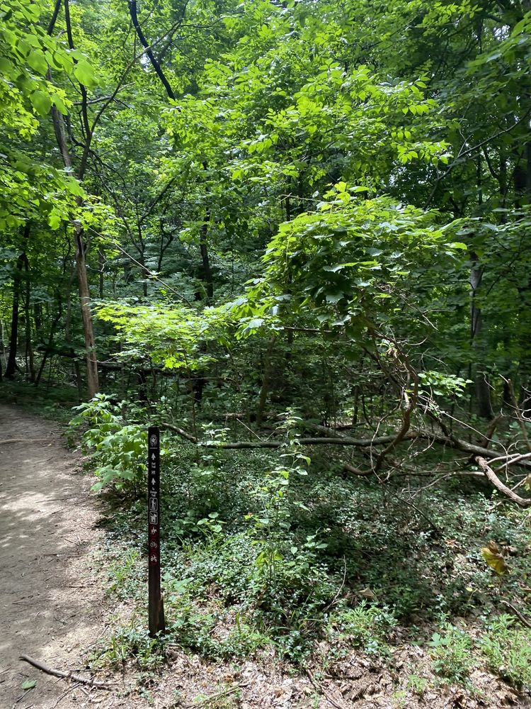 Mitchell Hill Trail Logo