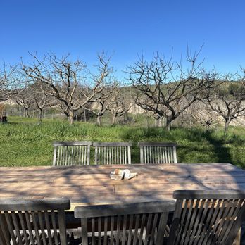 Zobèto Wines - Pistachio trees - Wineries Near Me - Paso Robles, California Zobèto Wines - Pistachio trees - Wineries Near Me - Paso Robles, California