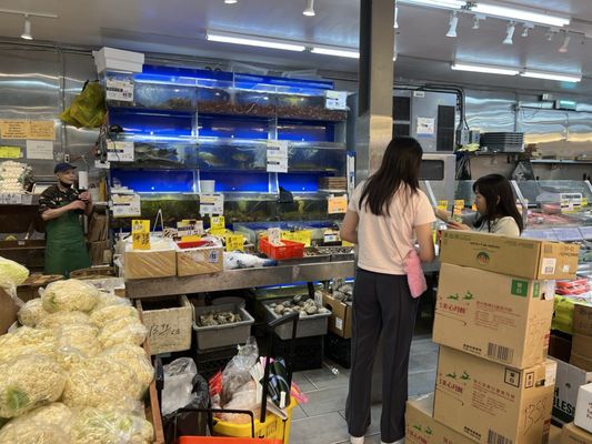 Asianfresh Food Market by null