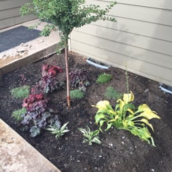 Emerald Desert Nursery - What a wonderful experience working with Nancy! I will absolutely be going back to Emerald Desert for our landscaping needs!