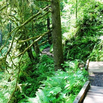 Oneonta Trail - Hiking Near Me - Cascade Locks, Oregon