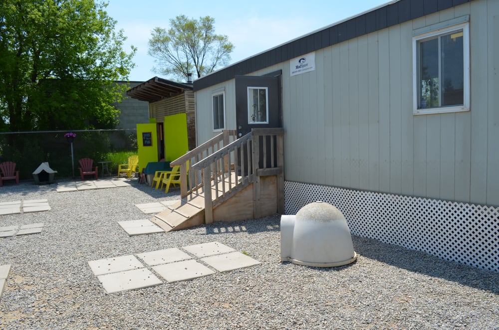 BARK N FLY DOGGY DAYCARE Updated August 2024 3070 Trafalgar Road