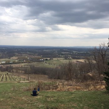 Dirt Farm Brewing - Can't imagine how pretty it is in the spring or fall! - Breweries Near Me - Bluemont, Virginia