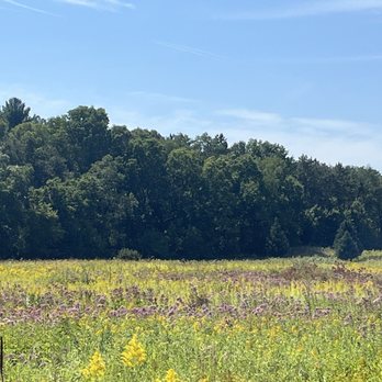 Blue Ash Farm - a field of wildflowers and trees - Distilleries Near Me - Argyle, Wisconsin
