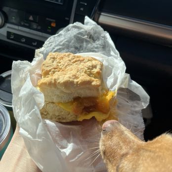 Belcross Biscuit Company  - Egg and cheese biscuit. The BEST biscuits I've ever had! Moose agrees! - Bakeries Near Me - Camden, North Carolina