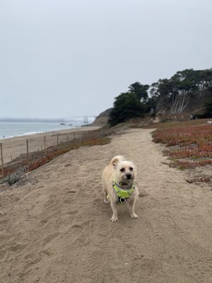 Batteries to Bluffs Trail by null