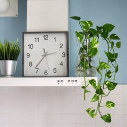 Colorado Clock Repair