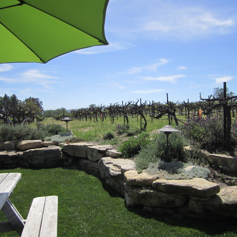 Castoro Cellars - Such a beautiful day to go wine tasting! :D - Wineries Near Me - Templeton, California