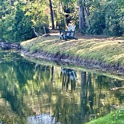 Oldman's Creek Campground - Blue Herron by the lake