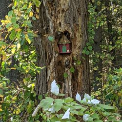 Machimoodus State Park