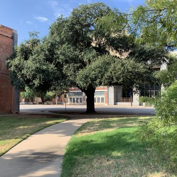 Park Central - Incredibly old tree next to sidewalk. - Parks Near Me - Wichita Falls, Texas Park Central - Incredibly old tree next to sidewalk. - Parks Near Me - Wichita Falls, Texas