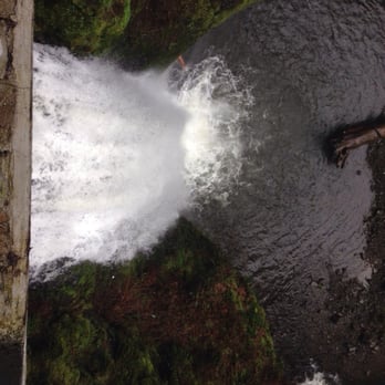 Multnomah Falls - Probably one of the more stupid things I have done with my phone. - Hiking Near Me - Bridal Veil, Oregon Multnomah Falls - Probably one of the more stupid things I have done with my phone. - Hiking Near Me - Bridal Veil, Oregon