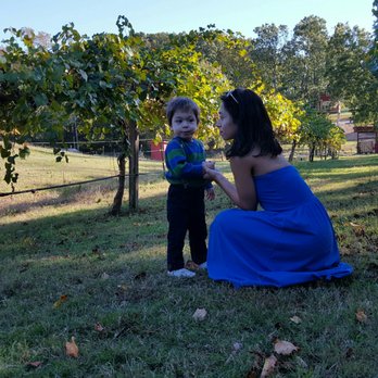 Treehouse Vineyards - Venues & Event Spaces Near Me - Monroe, North Carolina