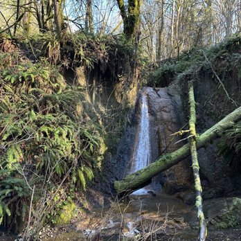 Coal Creek Natural Area - Beautiful - Parks Near Me - Bellevue, Washington Coal Creek Natural Area - Beautiful - Parks Near Me - Bellevue, Washington