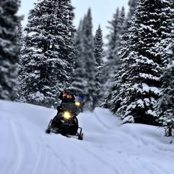 Offroad Life Rentals