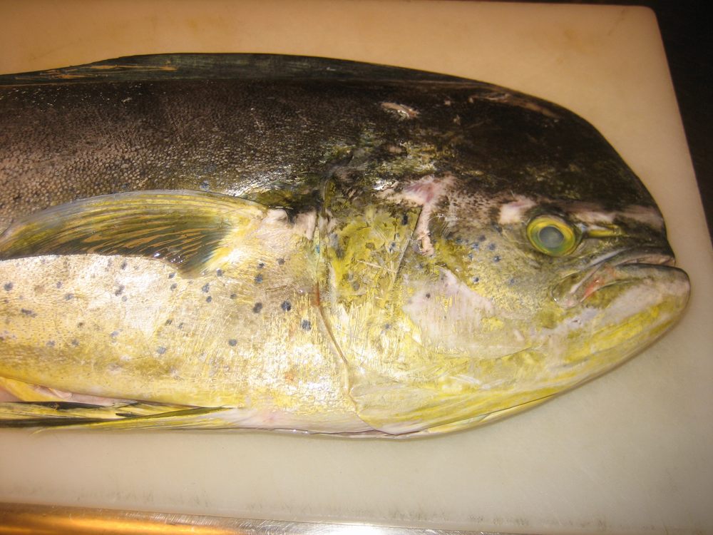 LUCKY FISH SEAFOOD Updated August 2024 20 Photos 1801 Yorkmont Rd, Charlotte, North