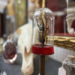 Rhinebeck Antique Center & Emporium