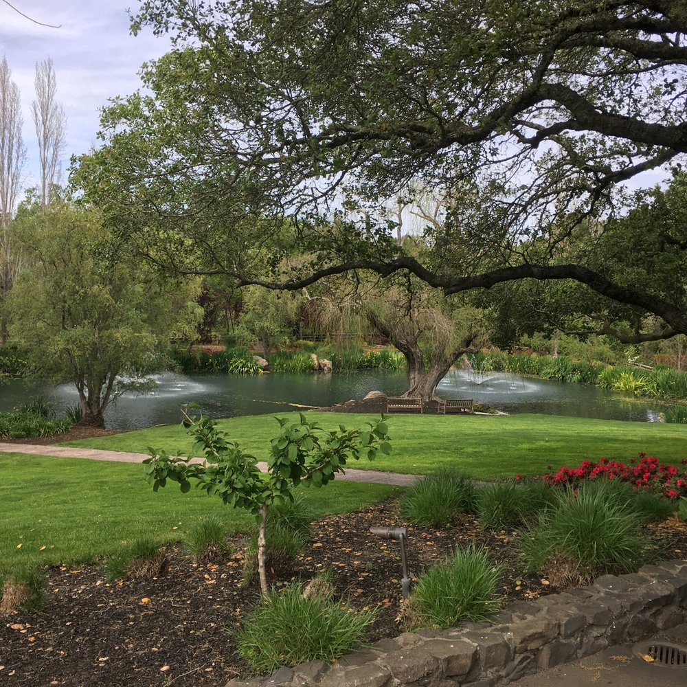 Far Niente - Wineries Near Me - Oakville, California Far Niente - Wineries Near Me - Oakville, California