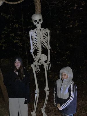 Haunted Gallows by null